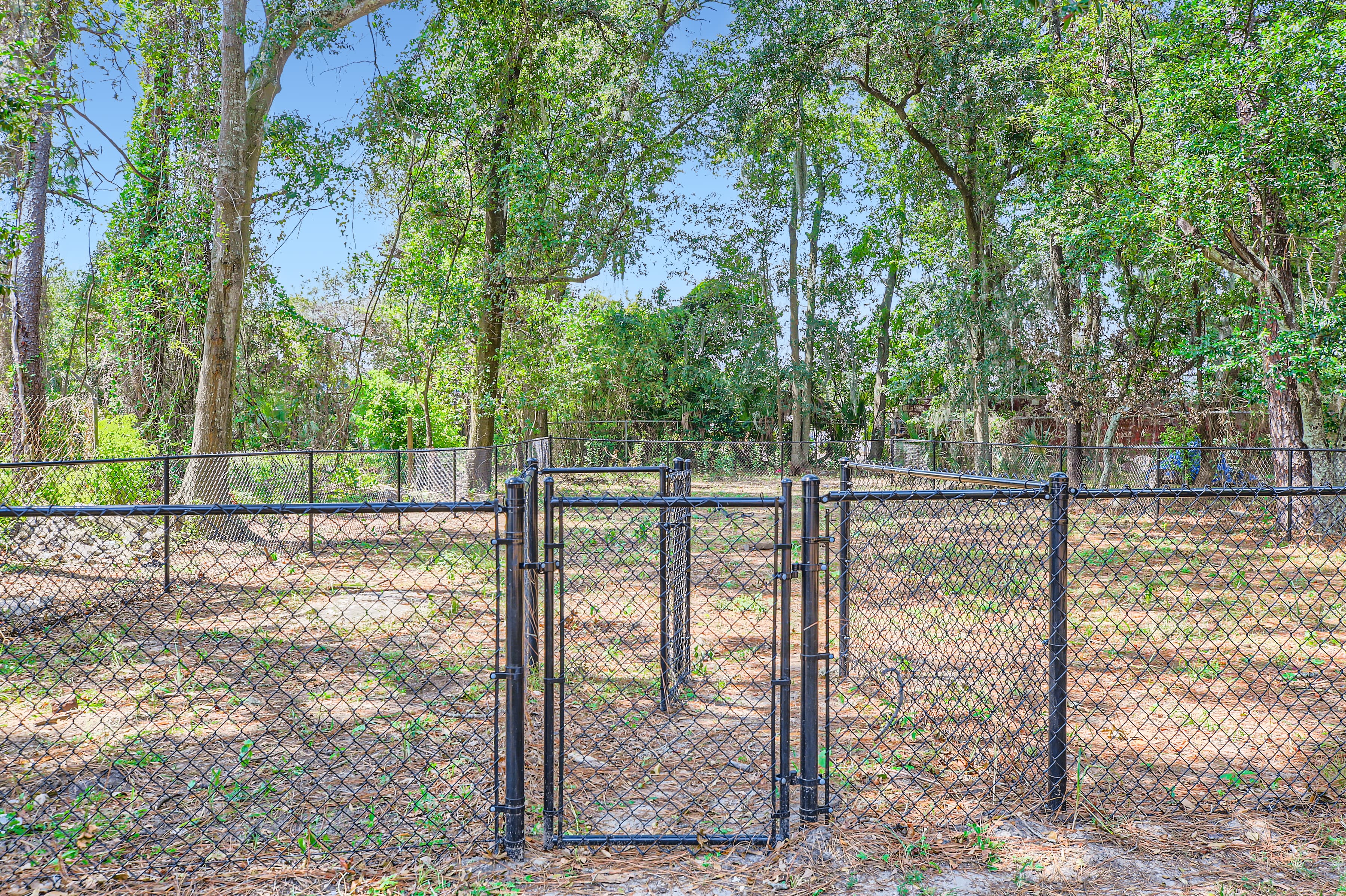 Dog Park
